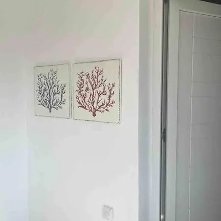 Emvatis Luxury E1 Apartment